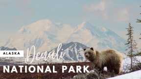 Denali National Park | Driving to Mile 30 in 2021