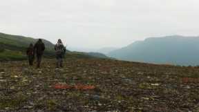 Alaska Hawke Hunt - Into the Wilderness