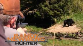 Randy Newberg, Hunter - How to; Alaska Black Bears under $2000