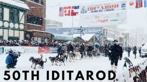 50th Iditarod 2022 | IT WAS A BLIZZARD!