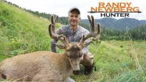 Hunting Alaska Blacktail Deer with Randy Newberg, Part 2 (FT S3 E9)