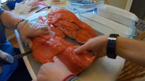 Filling The Freezer With Red Salmon From Alaska’s Famous Kenai River