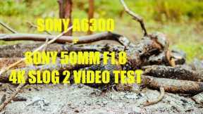 SONY A6300 + SONY 50MM | 4K SLOG 2 VIDEO TEST