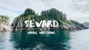 Seward, Alaska | Whale Watching Tour