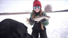 Arctic Char or Dolly Varden ice fishing