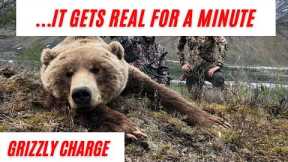 GRIZZLY CHARGE! | ALASKA GRIZZLY HUNT