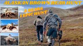 HUNTING the BIGGEST BEARS | 3 Hunters Get Their Bucket List Brown Bear in AK #hunting #bowhunting