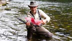 Alaska Day 2; Salmon Fishing and Wildlife in the Kenai Peninsula