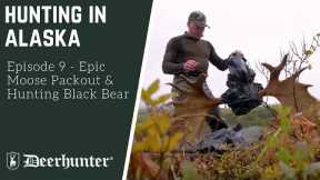 Epic Moose Packout & Hunting Black Bear