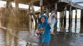 We Caught Fish From Shore On The Homer Spit And You Can Too!