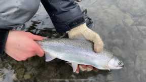 Winter Trout Fishing Cooper Landing Alaska