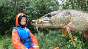 Northern Pike Fishing Catch Clean & Cook in Alaska - these Pike are full of LEECHES!!!