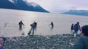 Fishing Hooligan in Alaska Part II