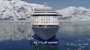 Why You Need To Cruise Alaska With Royal Caribbean
