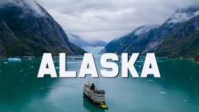 The Best of Our Alaskan Cruise | UnCruise Alaska | The Planet D | Travel Vlog