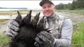 (How to hunting) ALASKA BLACK BEAR HUNTING - Getting a tag