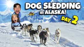 DOG SLEDDING IN ALASKA!!! Glacier Helicopter Tour in Juneau - CRUISE WEEK Day 2