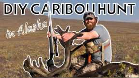 DIY Caribou Hunt 2020 | Rifle Hunt on the Haul Road in Alaska
