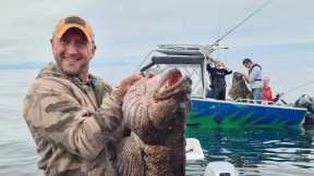 We Went On A Self Guided, Halibut, Lingcod, and Salmon Fishing Adventure In Alaska!