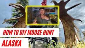 How to DIY Moose Hunt In AK | Plan Your DIY Alaskan Moose Hunt | Know the REAL cost