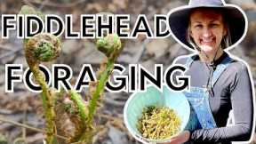 Foraging and Preparing Fiddlehead Ferns | Subsistence Lifestyle Alaska
