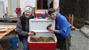 Alaskan Razor clams are a LOT of work