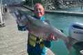 Huge Silver Salmon Caught While