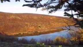 Caribou Hunt Highlights 2010