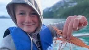 Massive Prawns In Alaska The Best Fishing Trip of My Life