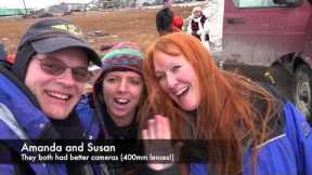 Polar Bears in Kaktovik, Alaska