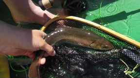 Arctic Char Fishing Alaska