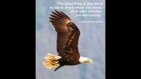 True North Inspiration Through Nature - Soaring Eagle