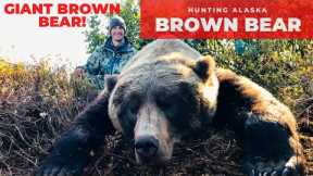 GRIZZLY | MONSTER BROWN BEAR HUNT | ALASKA PENINSULA | NOT KODIAK |