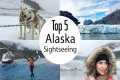 Top 5 Alaska Sightseeing Things To Do 